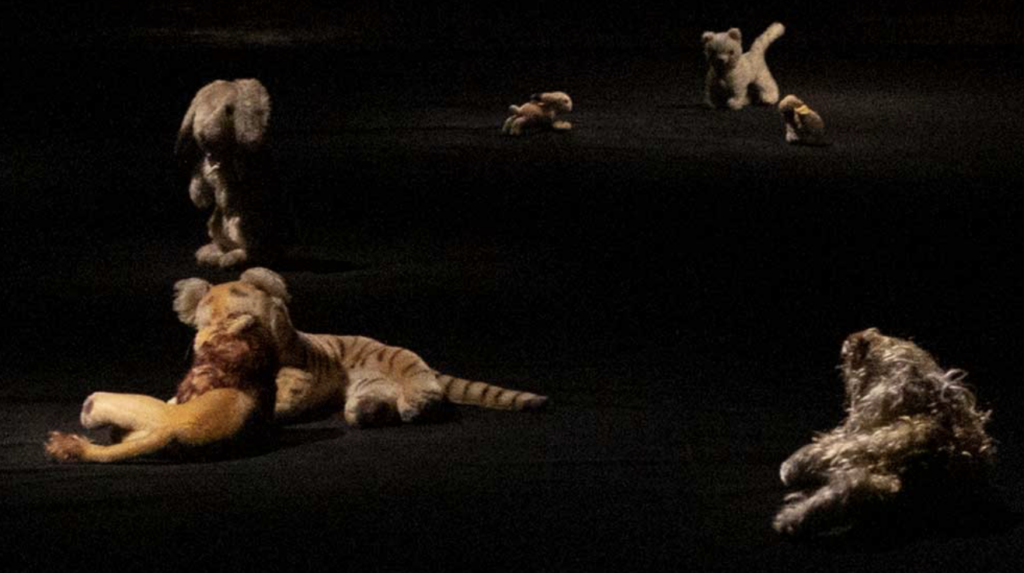 螢幕截圖 2024-06-19 下午1.18.35