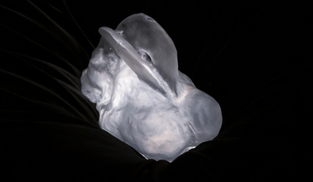 螢幕截圖 2024-06-24 上午10.52.46